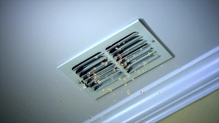 Best Ductwork Cleaning Services  in Umatilla, FL