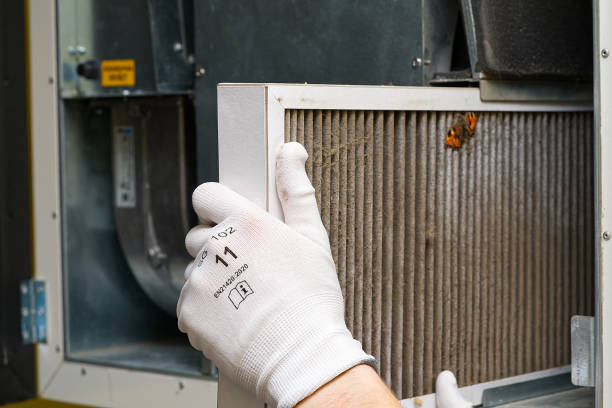 Best Duct Cleaning Specialists  in Umatilla, FL