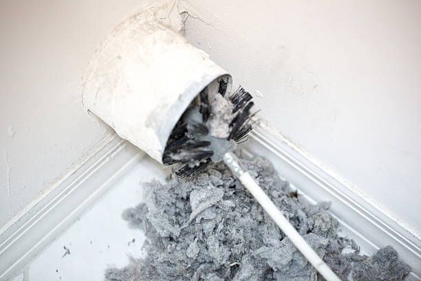 Best Ductwork Cleaning Services  in Umatilla, FL